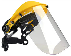Browguard & Visor